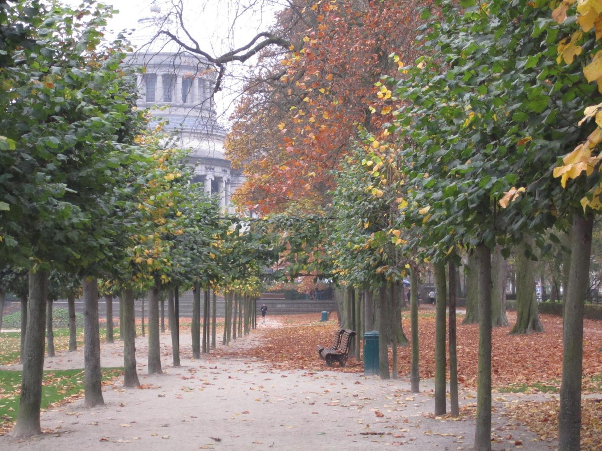 B&B A Cote Du Cinquantenaire Etterbeek Eksteriør bilde